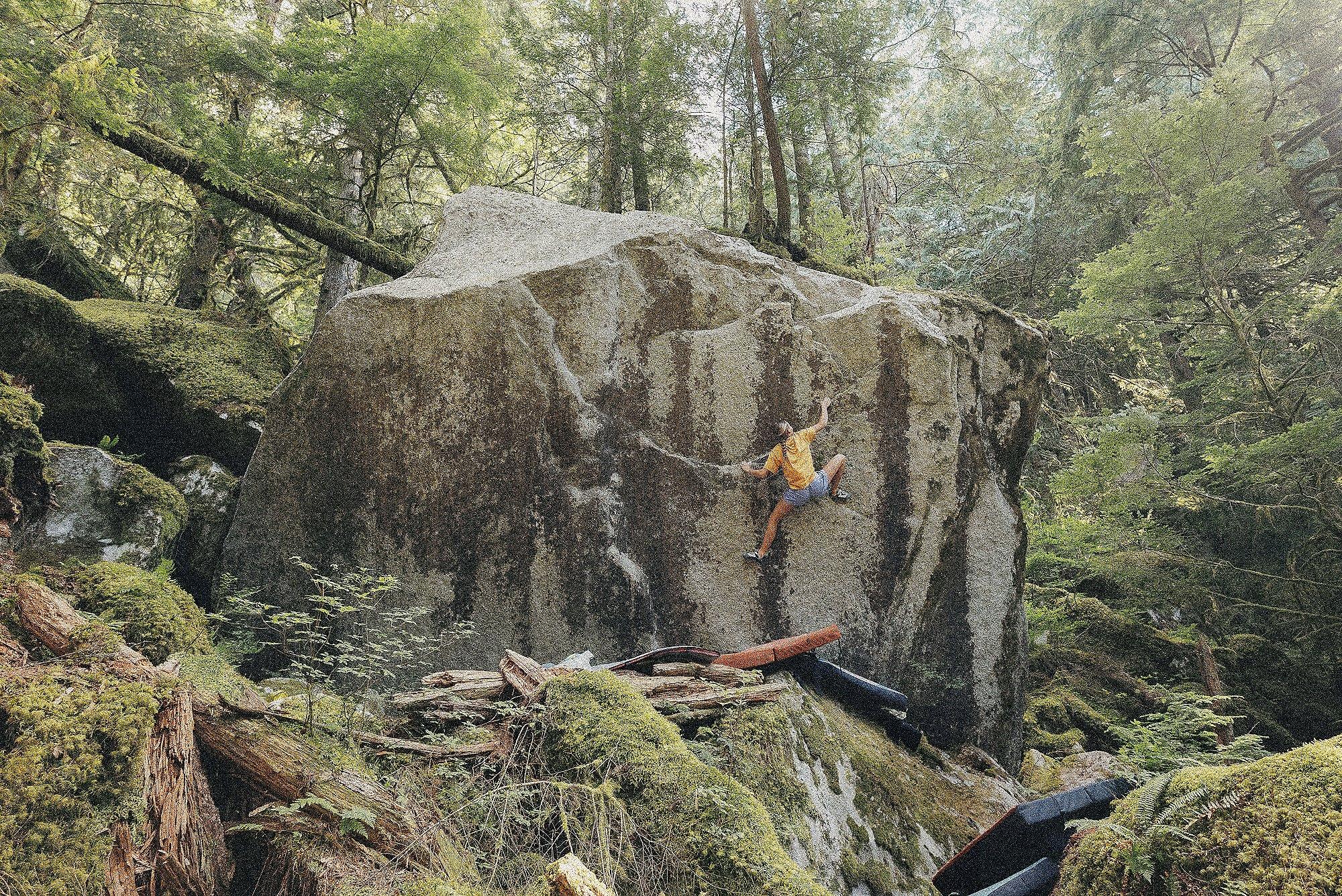 Climbing in a lush forest wearing the MHW x Extra Vitamins Sun Stash shirt.
