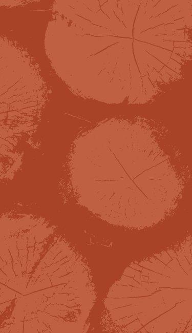 A grid tile showing prAna's pre black friday sale