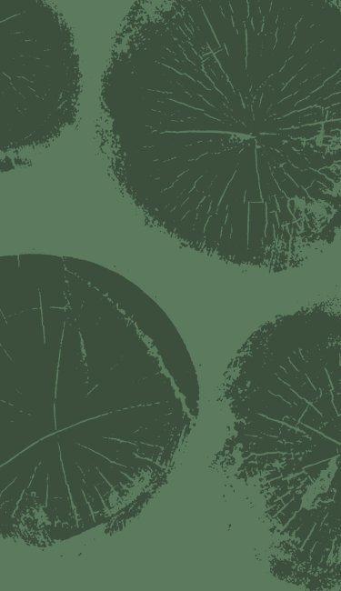 an image representing black friday sale