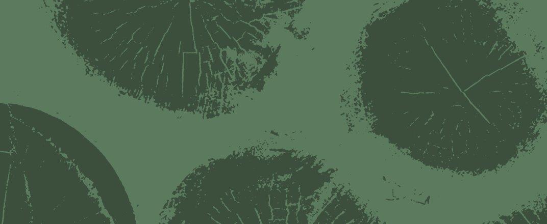 an image of black friday sale