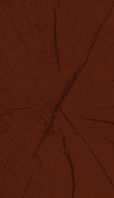 an image representing cyber monday sale