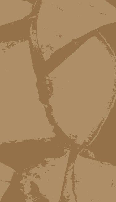 an image representing thanksgiving sale