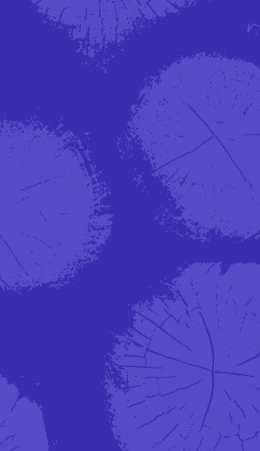 a grid tile representing prAna's end of season sale 