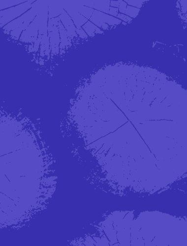 a dropdown representing prAna's end of season sale 