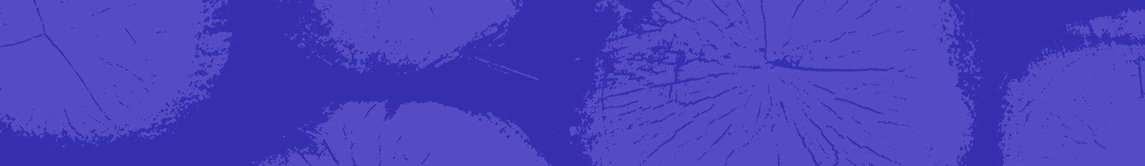 an image of prAna's end of season sale 