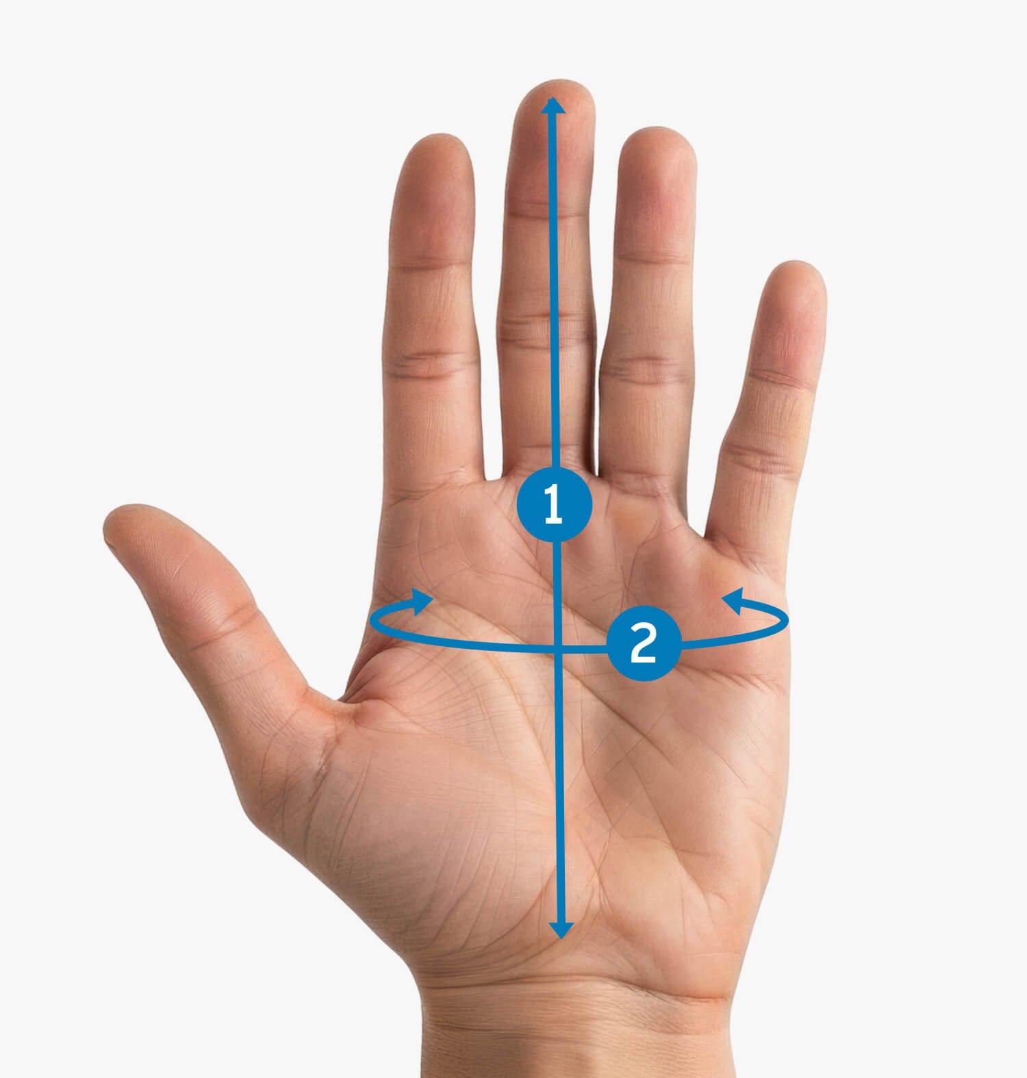 Palma abierta que muestra una guía de medición de la mano con flechas numeradas que indican las dimensiones de longitud y anchura.