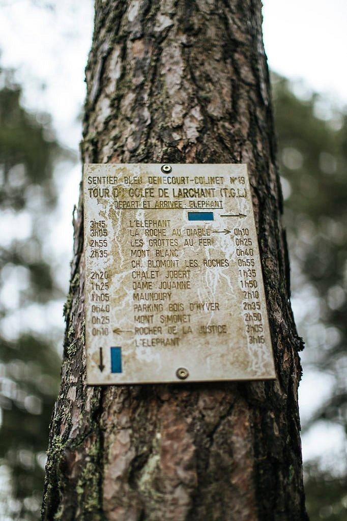 Jon Glassberg Photography Image 4