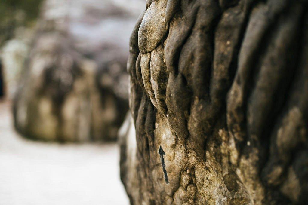 Jon Glassberg Photography Image 1