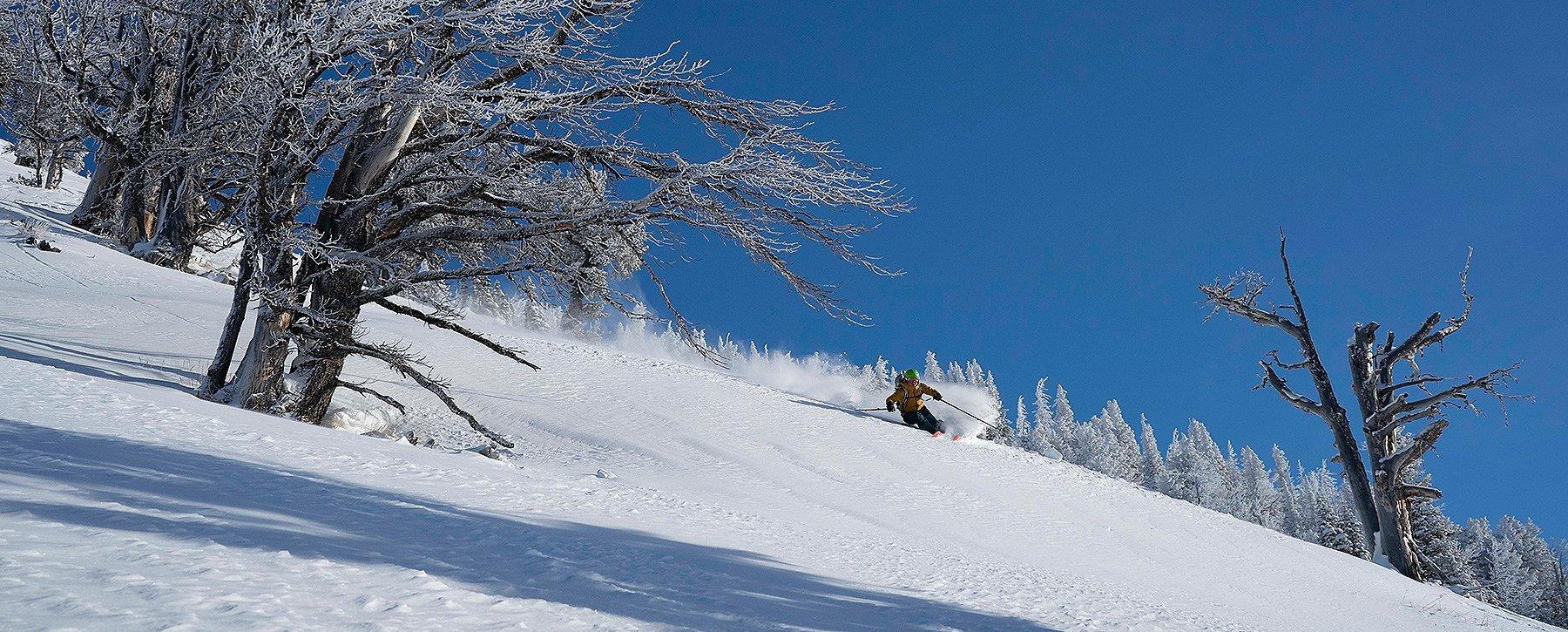 Skier wearing the Women's High Exposure™ Gore-Tex® C-Knit™ Anorak skiing in the background. 