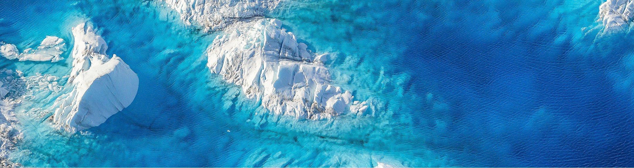 Glacier photo featuring a polar bear