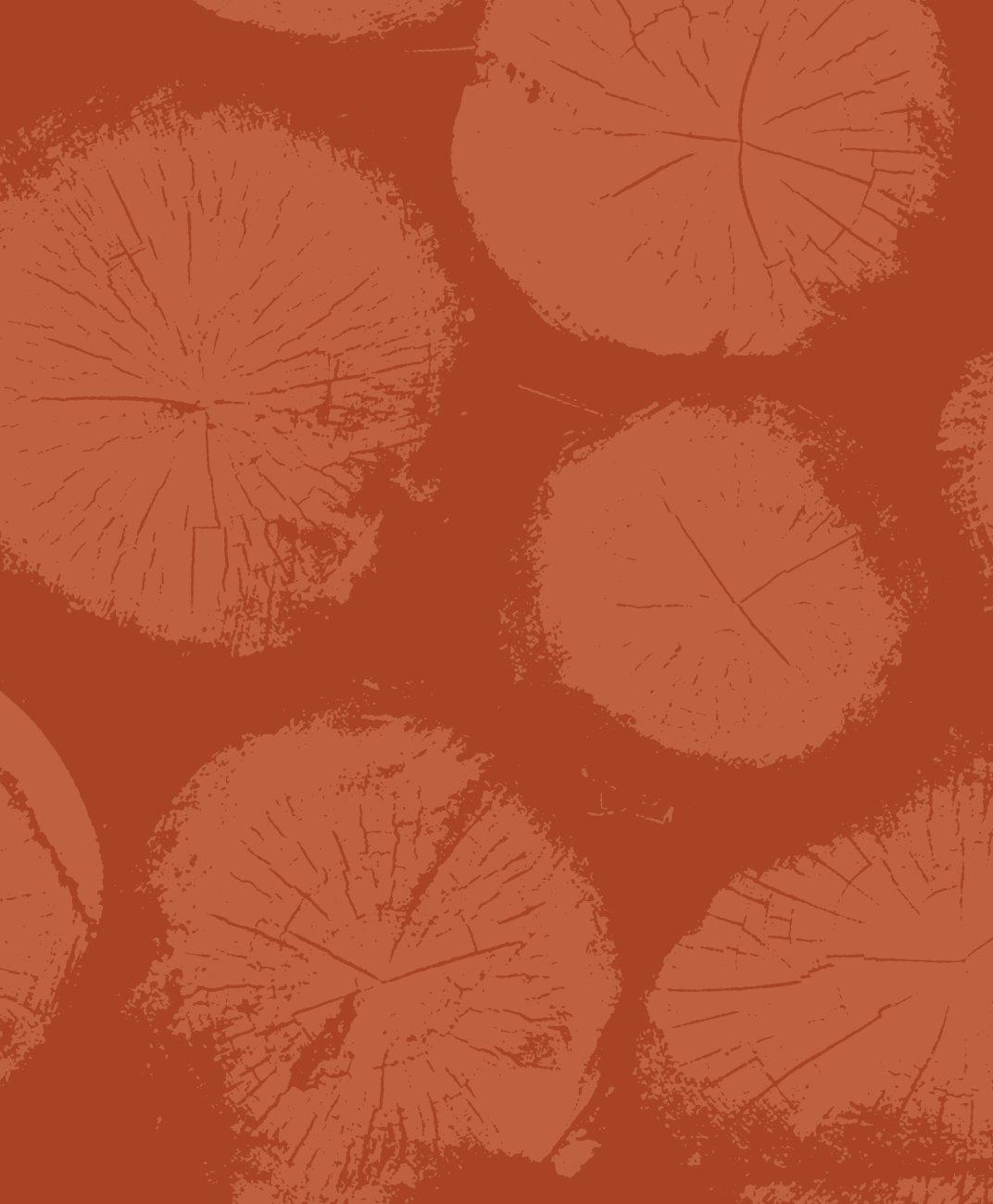 an image of prAna pre-thanksgiving sale