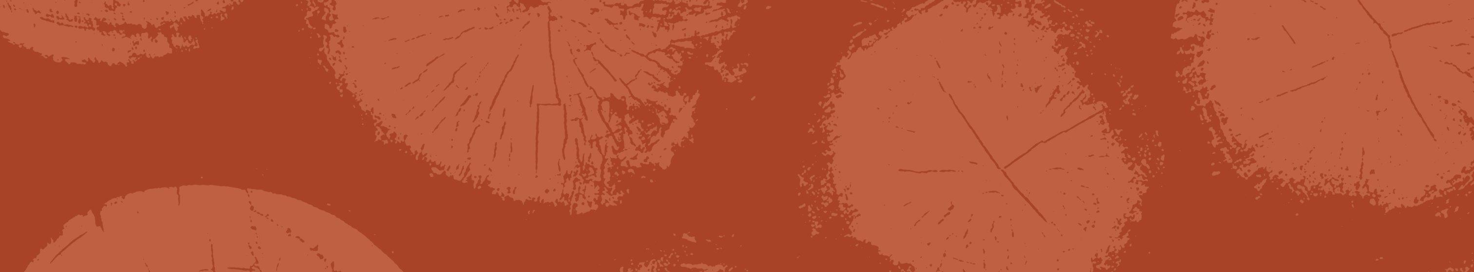 an image of prAna's pre black friday sale