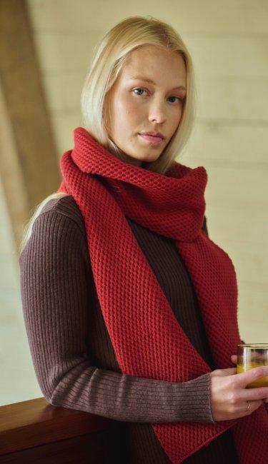 an image of Women's Holiday New Arrivals