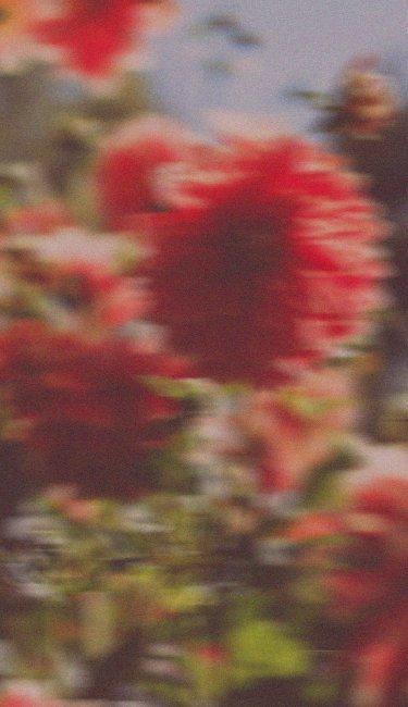 prAna summer sale