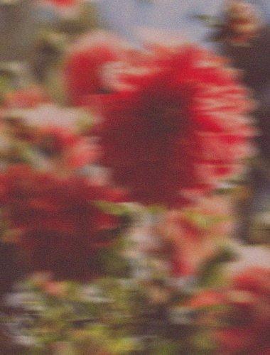 prAna summer sale