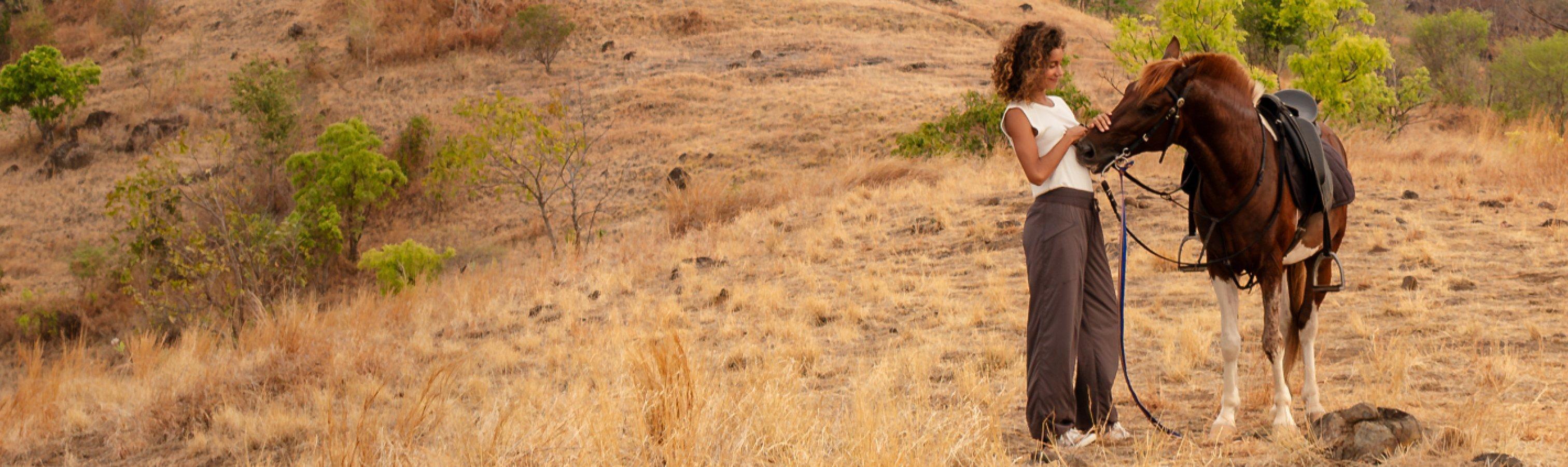 an image of the koen collection