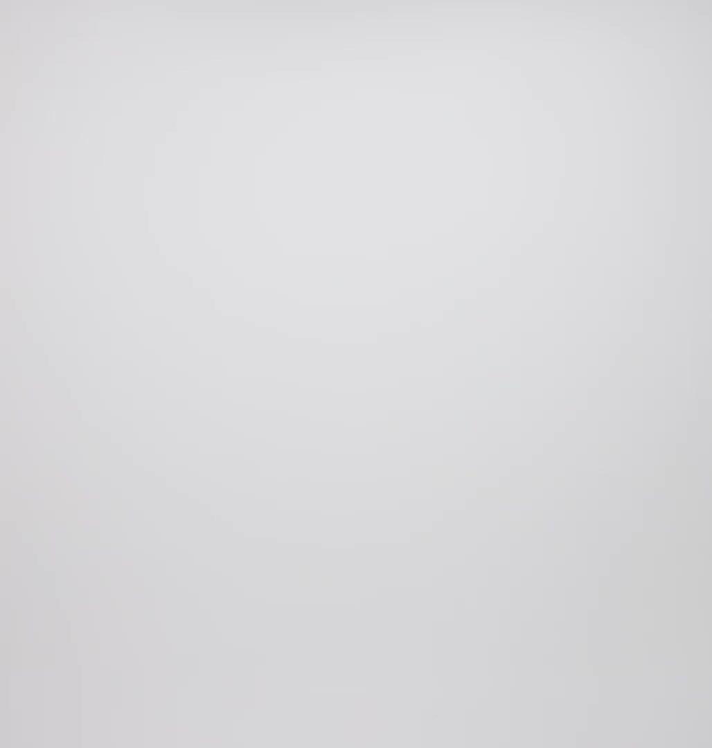 Helvetia Half Snap Fleece mit Print für Männer, Color: Compass Blue Reflections