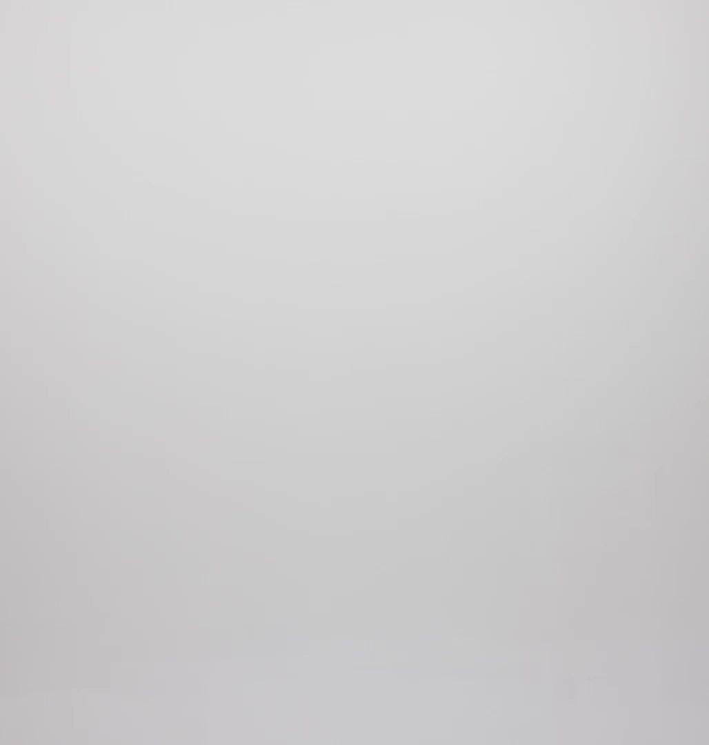 Men's DriVenture Technical Half Zip Long Sleeve T-Shirt, Color: Zing, White