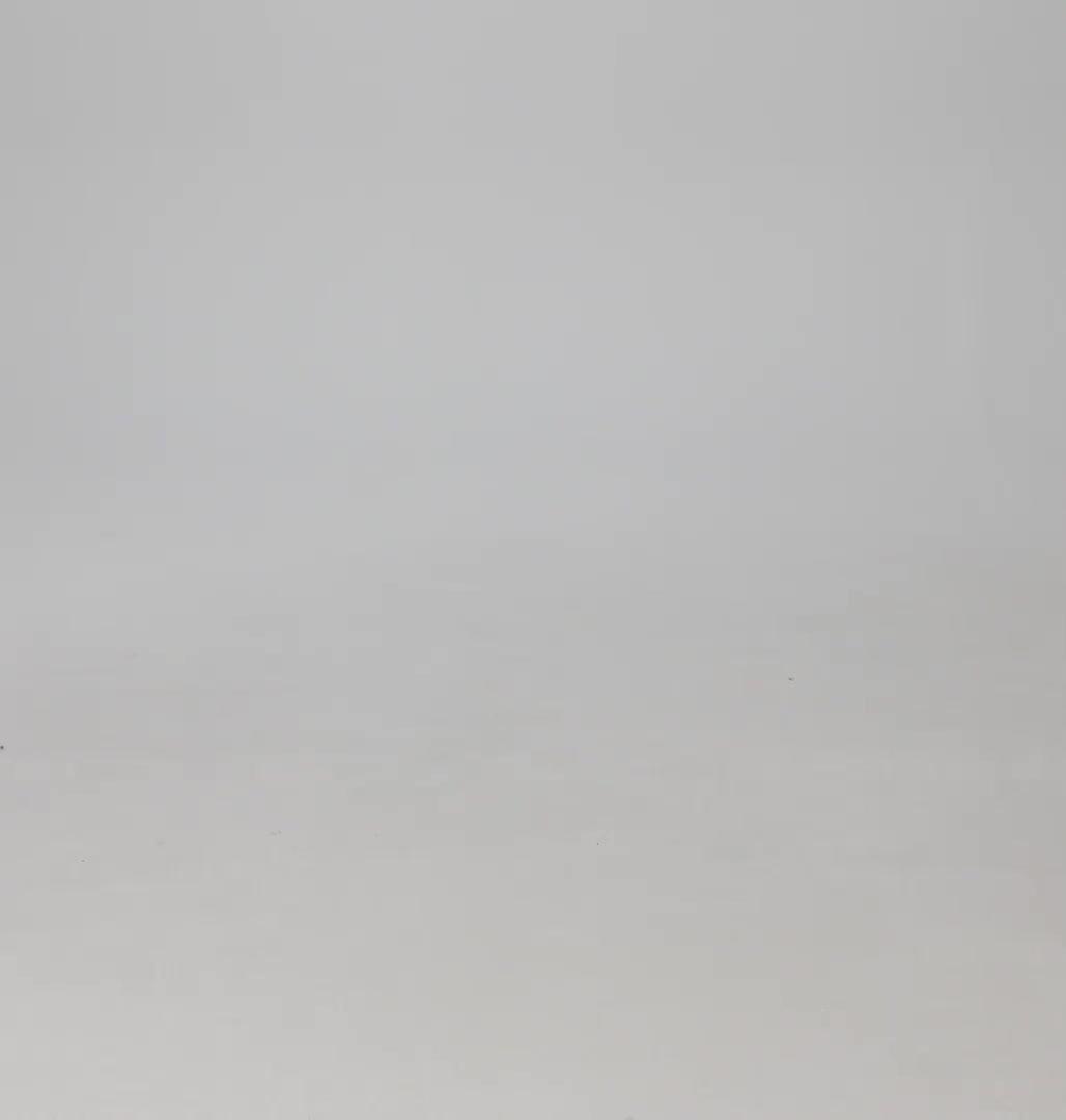 Short Bonefish Flats Homme, Color: Beach